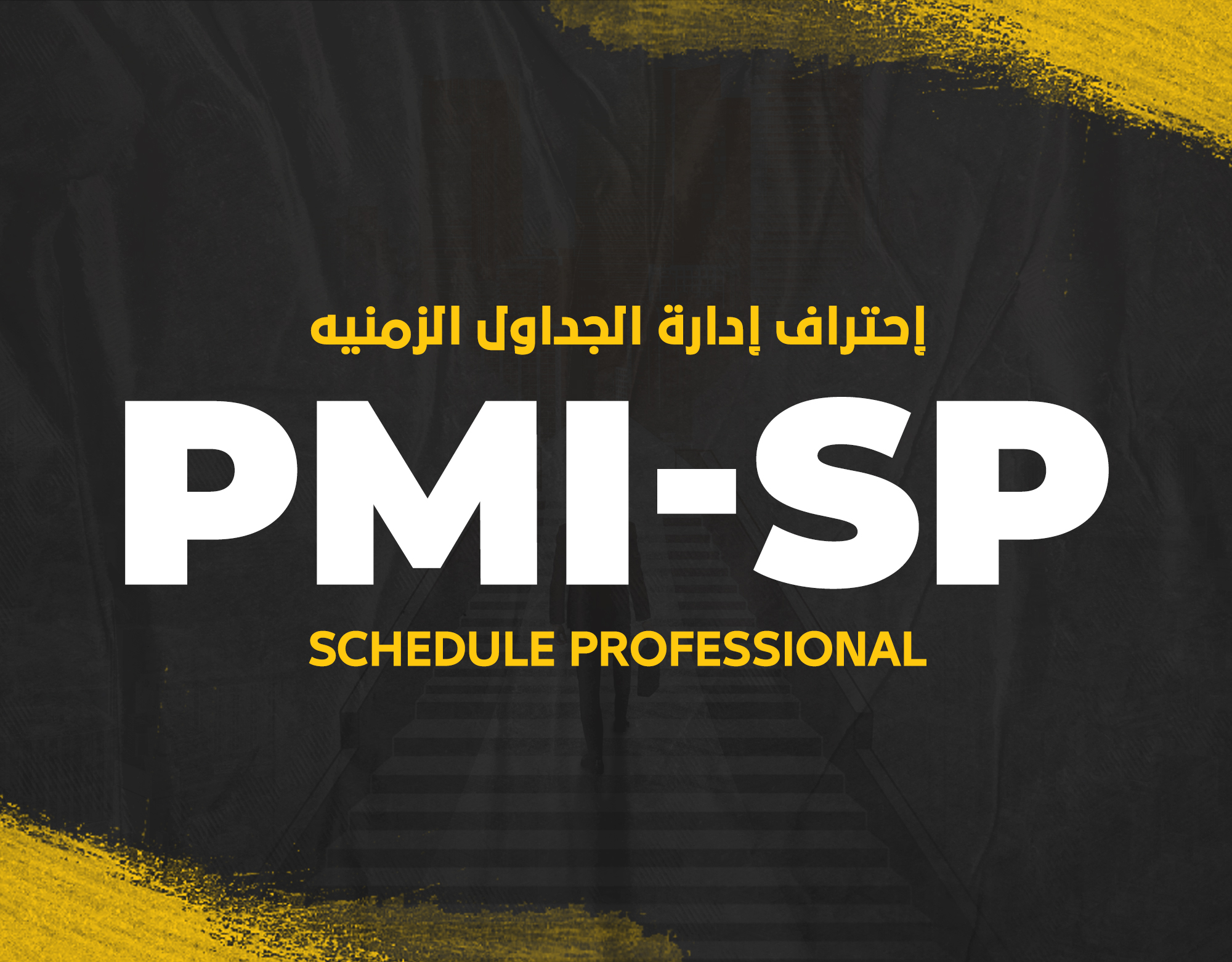 Easy professional course Project Scheduling Professional (PMI-SP) Full Package