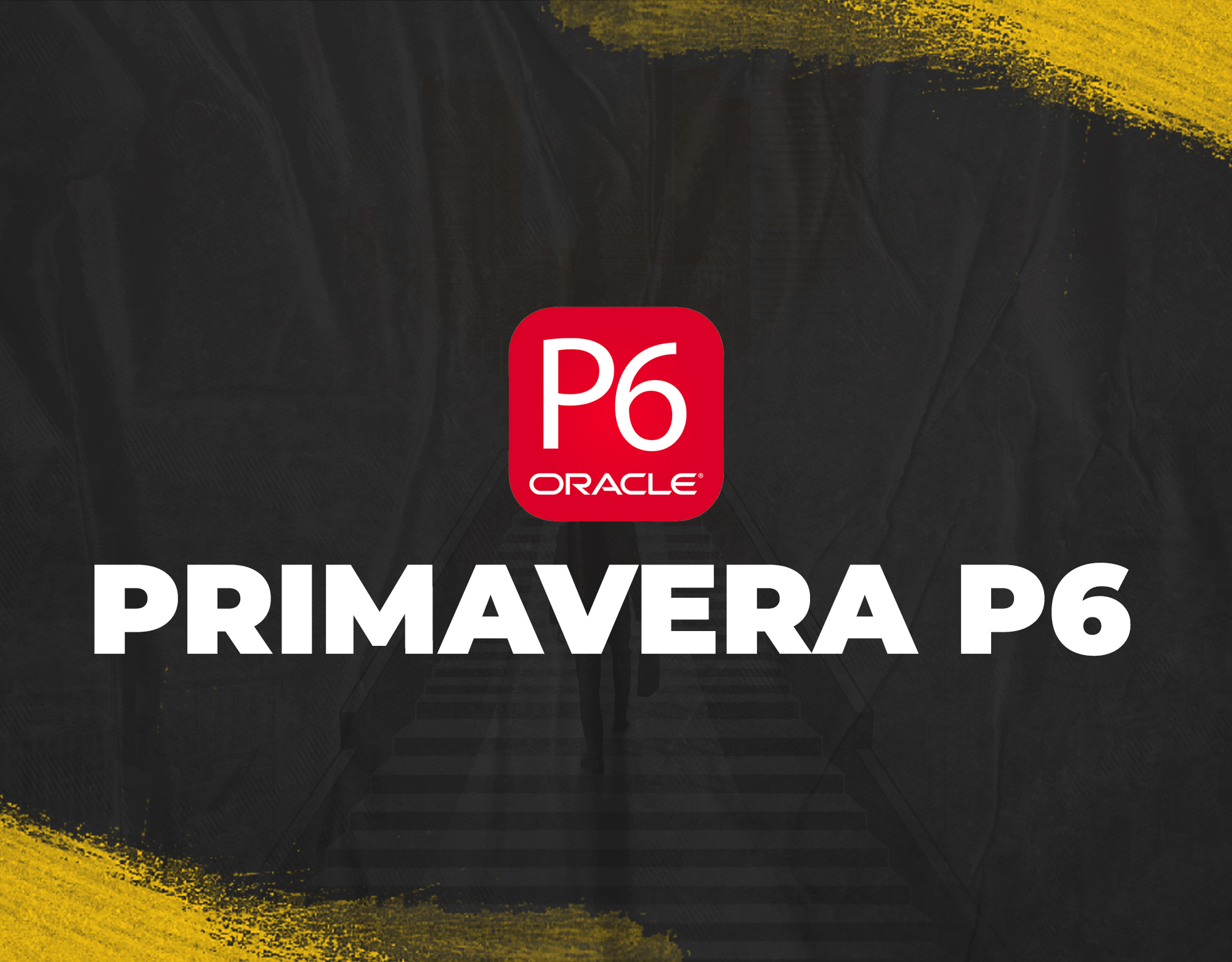 Easy professional course PRIMAVERA P6 Online Interactive